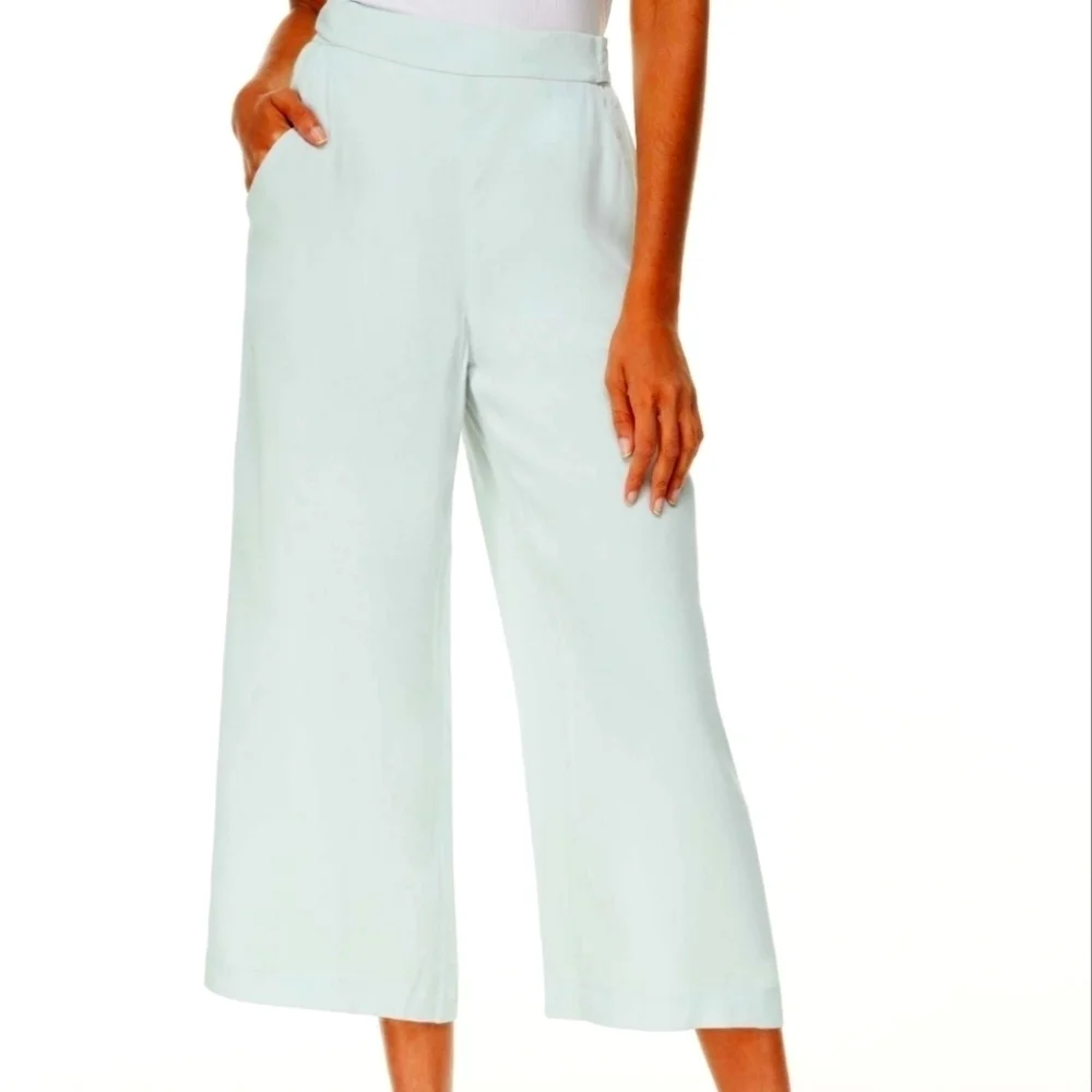 Wilfred Arizona Mint Green Ankle High Waisted Wide Leg Pleated Pant 8